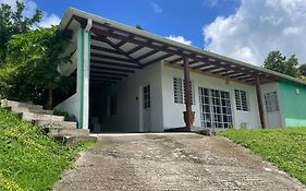 Green Loft